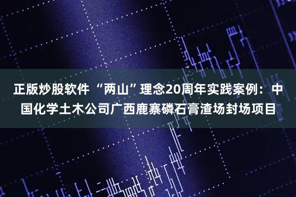 正版炒股软件 “两山”理念20周年实践案例：中国化学土木公司广西鹿寨磷石膏渣场封场项目