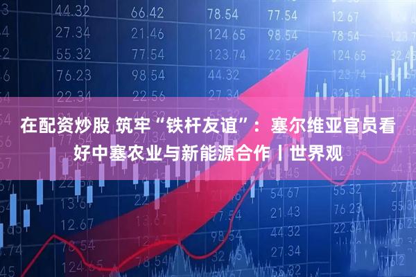 在配资炒股 筑牢“铁杆友谊”：塞尔维亚官员看好中塞农业与新能源合作丨世界观